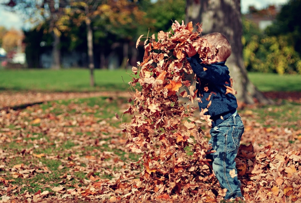 child playing in fallen leaves