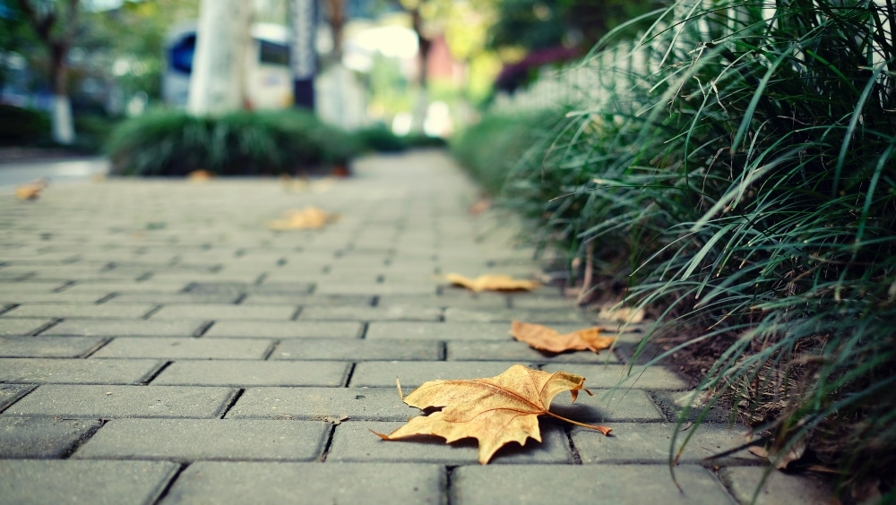 leaves on brick sidewalk