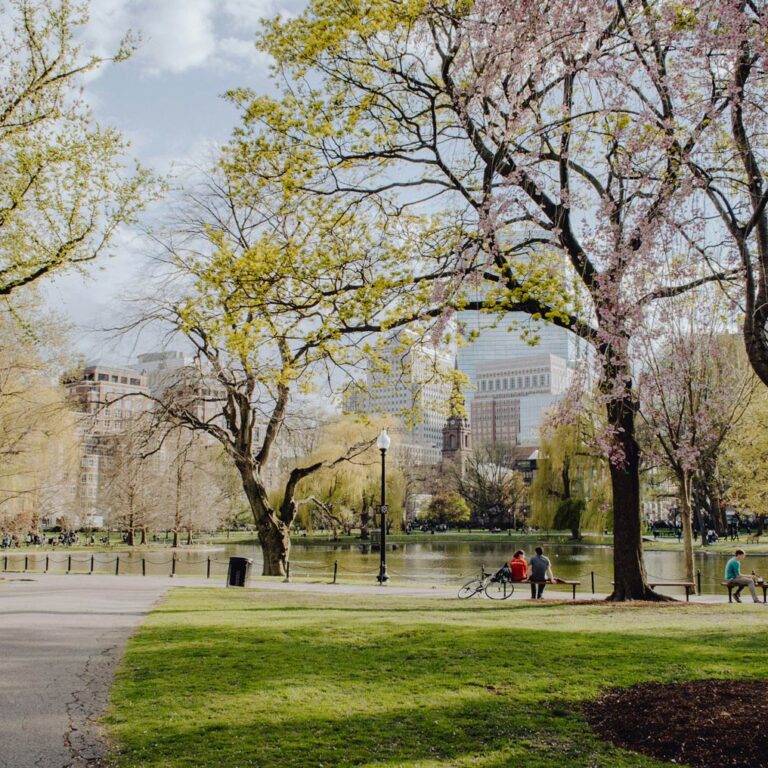 Streetscape Design and Urban Renewal Streetscape Design and Urban Renewal