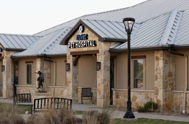 Modern lamp post, H-01 Series, in front of TruVet Hospital.