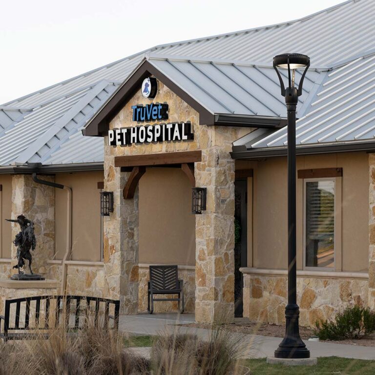 Brandon Placemaking Blog Placemaking Creates Memorable Destinations. Decorative Lighting and Signs Can Help