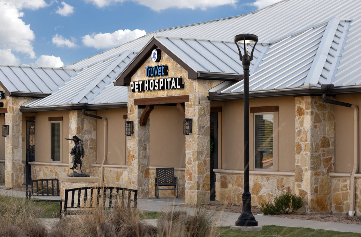 A streetlight standing in front of an animal hospital.