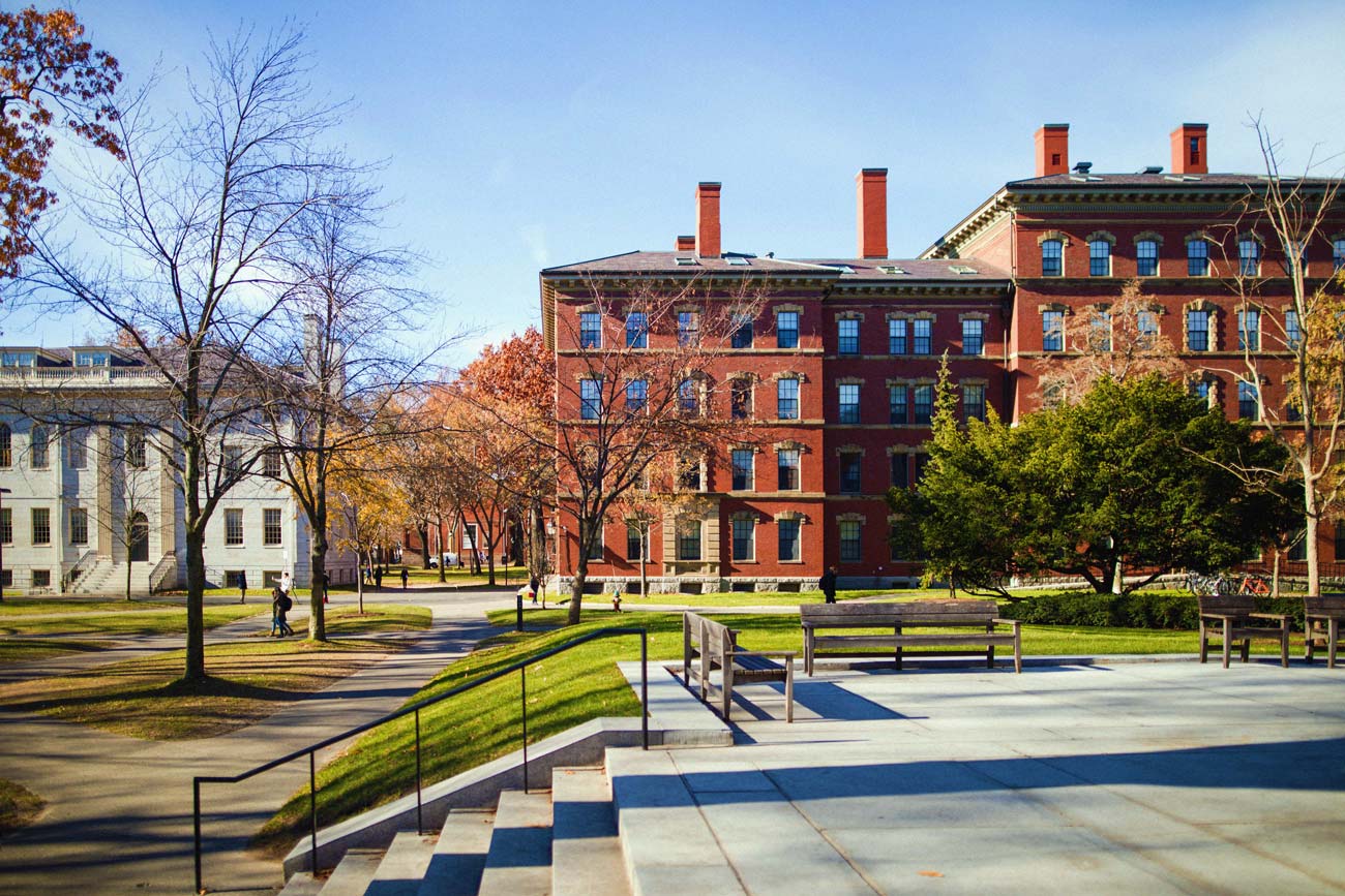 A pathway streetscape on an academic campus